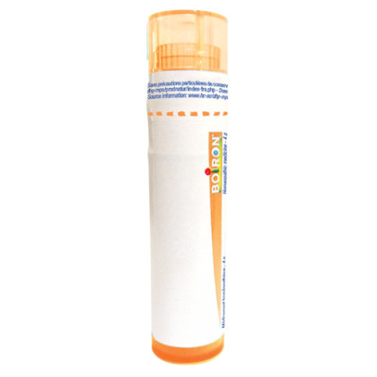 Calcarea sulfurica granule - 4 g