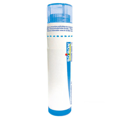 Spigelia anthelmia granule - 4 g